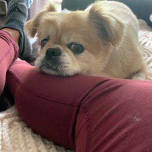 Meet your Posher, Kerry